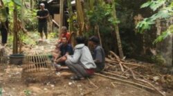 Polisi Obrak-abrik Perjudian Sabung Ayam di Dusun Kotakan Utara, Desa Kotakan, Kecamatan Situbondo