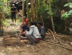 Polisi Obrak-abrik Perjudian Sabung Ayam di Dusun Kotakan Utara, Desa Kotakan, Kecamatan Situbondo
