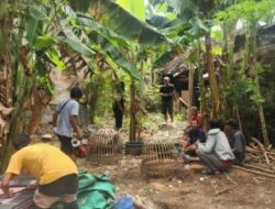 Polres Situbondo Gerebek Judi Sabung Ayam, Amankan Pelaku dan Barang Bukti (BB)