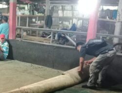 Judi Sabung Ayam di Dusun Krajan Tengah, Desa Meteseh, Kecamatan Boja, Kendal di Gerebek