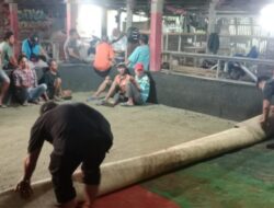 Polres Kendal Gerebek tempat Perjudian sabung ayam di Desa Meteseh