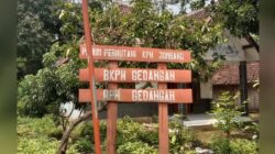 Puluhan Hektar tanaman tebu ilegal di Kawasan Hutan KRPH Gedangan Mojoagung di Soal LSM Gmicak