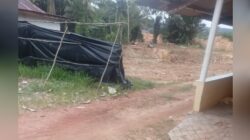 Tambang timah inkonvensional (TI), di Jalan Semujur Gg Monyet, Desa Kebintik, Kecamatan Pangkalan Baru, Bangka Tengah Merusak Ekosistem