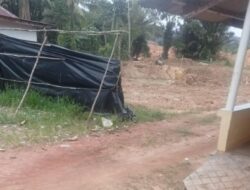 Tambang timah inkonvensional (TI), di Jalan Semujur Gg Monyet, Desa Kebintik, Kecamatan Pangkalan Baru, Bangka Tengah Merusak Ekosistem