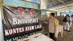 Tempat Perjudian Sabung Ayam Akhirnya di Gerebek Tim Gabungan setelah dilaporkan Ketua Umum LSM Gmicak