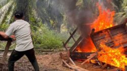 Perjudian Sabung Ayam di Penajam, Kalimantan Timur di Bakar Polisi