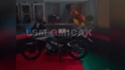 Perjudian Sabung Ayam di Purbalingga Jawa Tengah (Jateng) Berhadiah Sepeda Motor ” Disorot LSM Gmicak