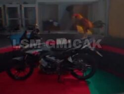 Perjudian Sabung Ayam di Purbalingga Jawa Tengah (Jateng) Berhadiah Sepeda Motor ” Disorot LSM Gmicak