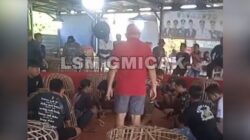Sabung Ayam di Purbalingga – Jateng Diduga Dibekingi Oknum DPR, LSM Gmicak Geram!