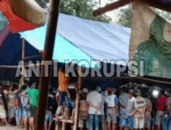 Aktivitas Judi Sabung Ayam di Karangduren tidak ada Tindakan dari Kapolres Jember AKBP Bobby A. Condroputra, S.H., S.I.K., M.Si