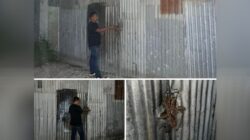 Tindak Lanjuti Dugaan Penimbunan BBM Solar, Polres Pelabuhan Belawan Sidak Gudang di Desa Manunggal