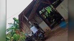 Markas Perjudian Sabung Ayam di Tasikmadu, Kecamatan Watulimo, Trenggalek Tidak ada tindakan Tegas