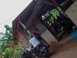 Markas Perjudian Sabung Ayam di Tasikmadu, Kecamatan Watulimo, Trenggalek Tidak ada tindakan Tegas