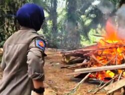 Perjudian Sabung Ayam di Buluminung, Kecamatan Penajam di Obrak Abrik Petugas Gabungan