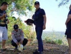Polisi Gerebek Sabung Ayam di Dusun Polai Laok, Desa Bira Tengah, Kecamatan Sokobanah, Sampang