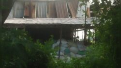 Skandal Penggilingan Limbah Pabrik Bulu Ayam Desa Minohorejo, Kecamatan Widang, Tuban,