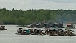 Tambang Timah di Aliran Sungai (DAS) Perimping, Bangka Merusak Ekosistem Laut