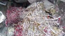 Skandal Pembakaran Limbah B3 Grenjeng Foil di Dusun Tenggor, Desa Modopuro, Sumobito diduga Belum Mengantongi Ijin Resmi
