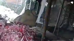 Pembakaran Limbah B3 Grenjeng Foil di Dusun Tenggor, Desa Modopuro, Kecamatan Sumobito di Soal LSM Gmicak