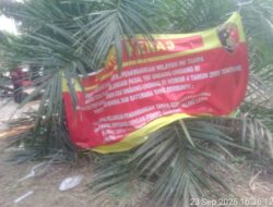 Meskipun Ada Spanduk Larangan Para Penambang Masih Bebas Beraktivitas DAS Desa Nibung