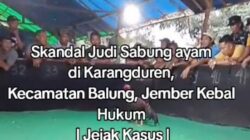 Skandal Judi Sabung ayam di Karangduren, Kecamatan Balung, Kabupaten Jember Kebal Hukum
