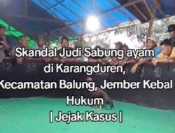 Skandal Judi Sabung ayam di Karangduren, Kecamatan Balung, Kabupaten Jember Kebal Hukum