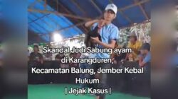 Perjudian Sabung Ayam di Krajan, Desa Karangduren, Kecamatan Balung, Jember Tak Tersentuh Hukum