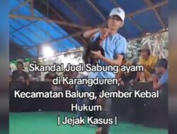 Perjudian Sabung Ayam di Krajan, Desa Karangduren, Kecamatan Balung, Jember Tak Tersentuh Hukum
