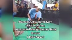 Sabung Ayam di Karangduren tidak ada Tindakan dari Kapolres Jember AKBP Bobby A. Condroputra, S.H., S.I.K., M.Si