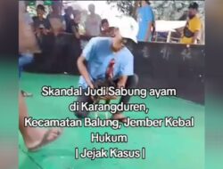 Sabung Ayam di Karangduren tidak ada Tindakan dari Kapolres Jember AKBP Bobby A. Condroputra, S.H., S.I.K., M.Si