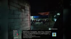 Perjudian Sabung Ayam Diwilayah Hukum Polres Trenggalek Bebas Beraktivitas