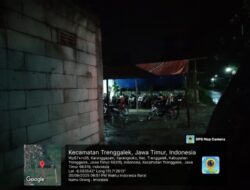 Perjudian Sabung Ayam Diwilayah Hukum Polres Trenggalek Bebas Beraktivitas