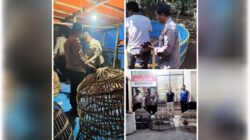Beberapa Lokasi Perjudian Sambung Ayam di Obrak Abrik Polres Lamongan, Tapi Tak Satupun Pelaku diamankan