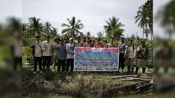 Kelompok Tani Binaan DPD TMI Sambas, Panen Melon dukung Program MBG
