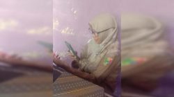 Mantan Oknum Kasubbag Umum Dinas Peternakan Tanggamus Diduga Kuat Terlibat Penyelewengan Dana